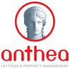 Anthea Lettings