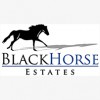 Black Horse Estates