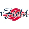 1st Field Properties