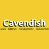 Cavendish & Co