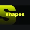 Snapes Estate Agents Bramhall